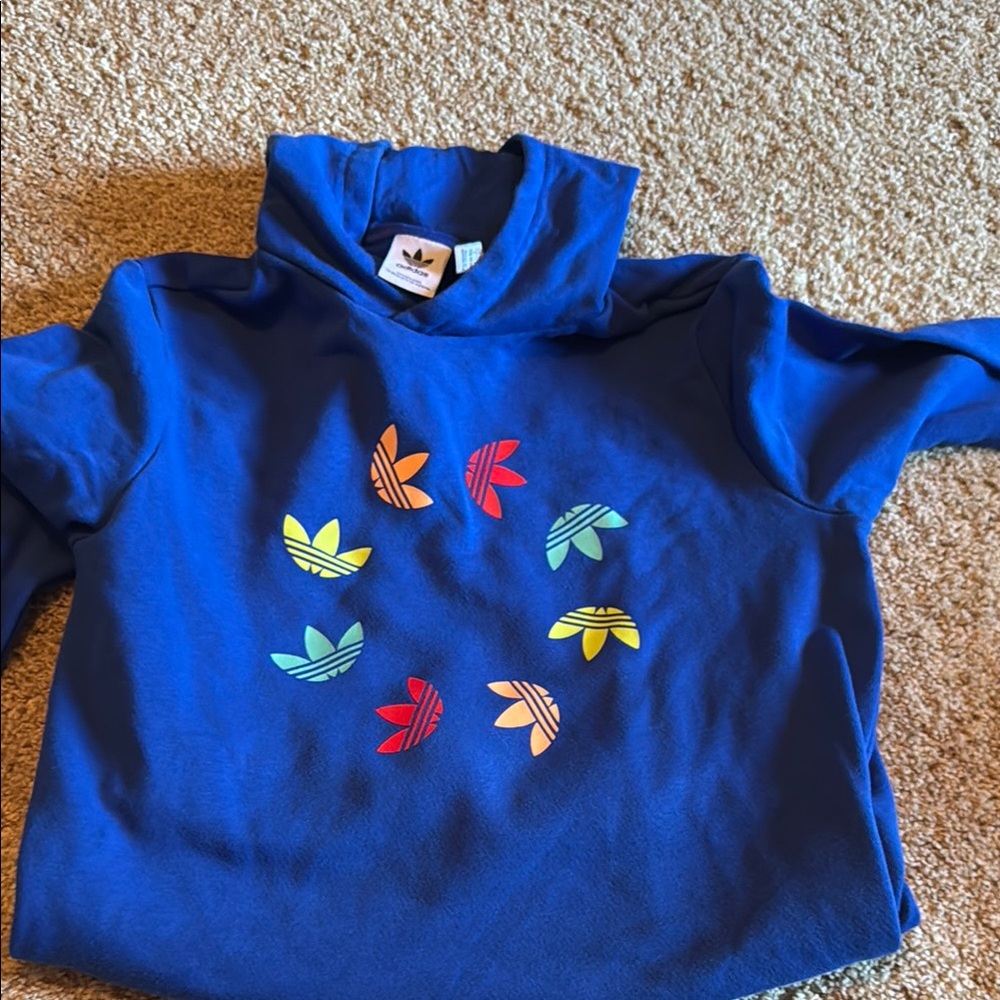 Adidas Kids Blue Graphic Hoodie